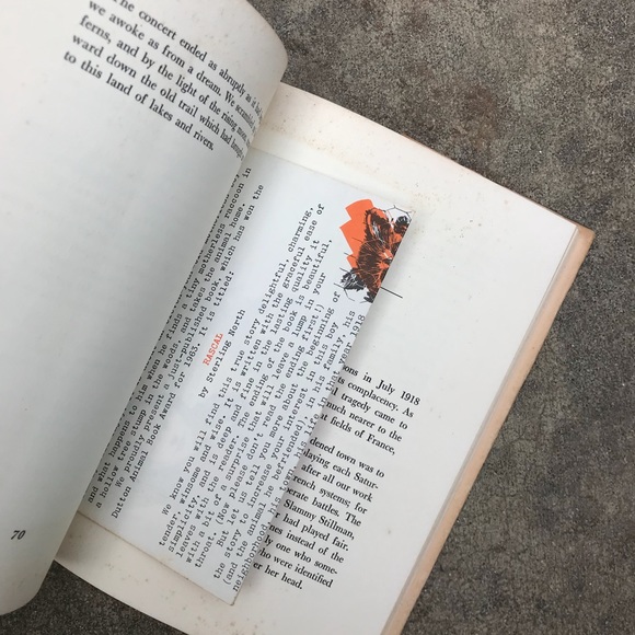 Rascal book 1963 - Picture 3 of 4